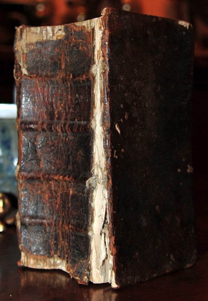 Book Cover: Johann Joseph Pockh/ Der Politische Catholische Passagier durchreisend Alle hohe Höfe/ Republiquien/ Herrschaften.../ 1718