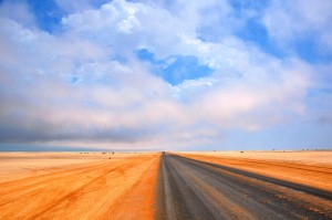 2009.10_Namibia_Cape Cross_1 