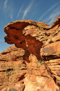 2011.10_Australien_ Kings Canyon, NT_3 