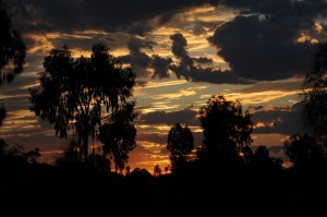 2011.10_Australien_Kata Tjuta_Olgas_Abendstimmung               