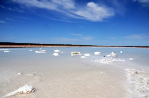 2011.10_Australien_Pimba, SA_Salzsee                 